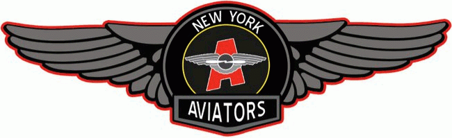 New York Aviators 201011 Primary Logo iron on transfers for T-shirts